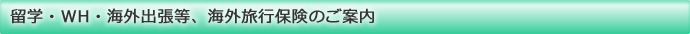 安心保険 合同会社　留学・WH・海外出張等、海外旅行保険のご案内